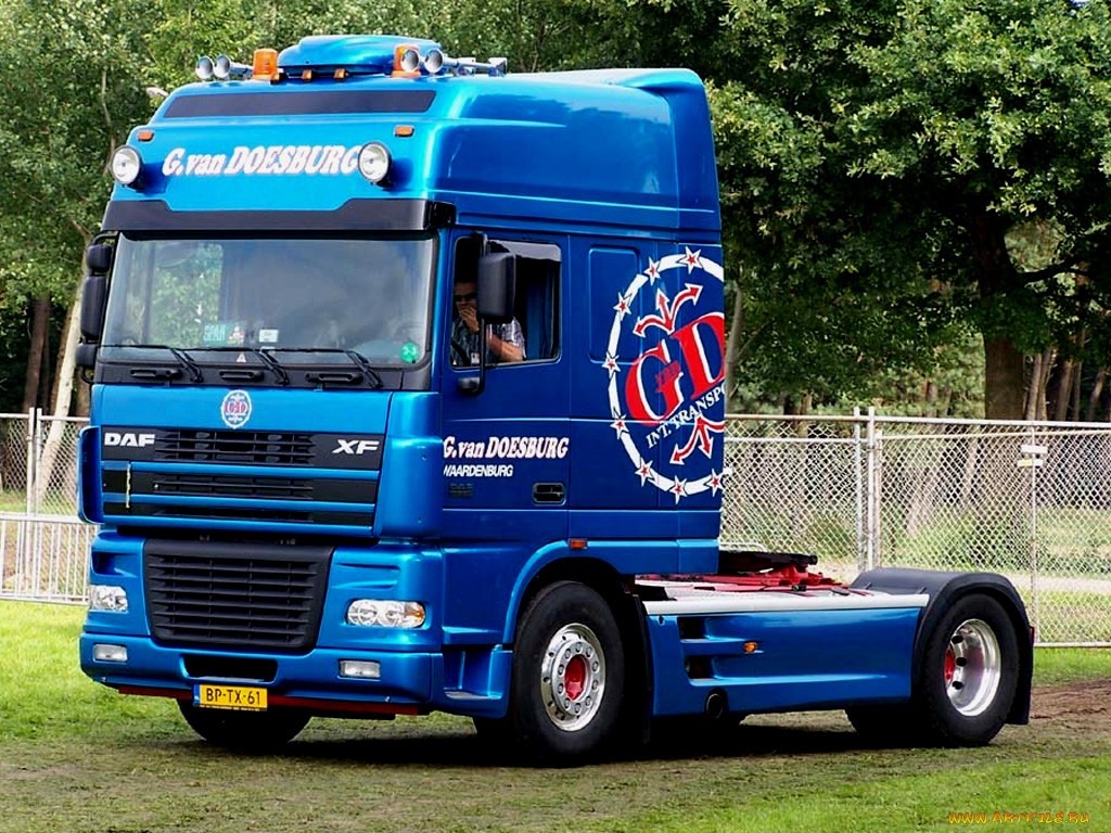 , daf